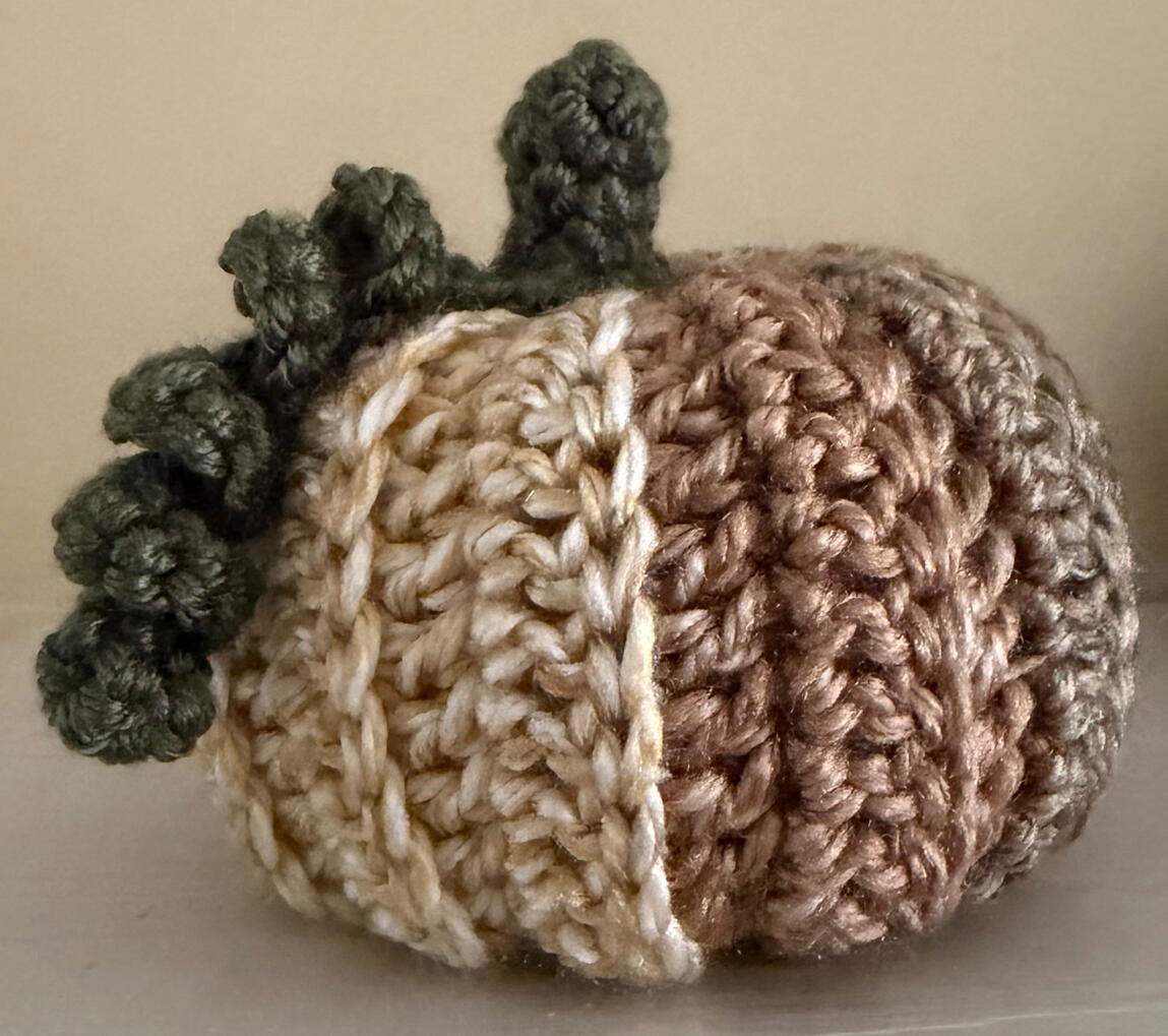 Pumpkin - Browns/Green/Cream