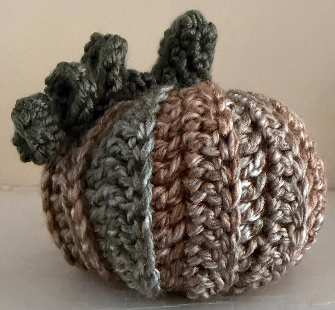 Pumpkin - Browns/Greens/Cream